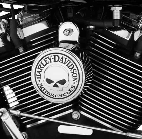 Harley Davidson Willie G. Skull Hupen Cover 4 Harley Davidson Willie G. Skull Hupen Cover – Bild 2