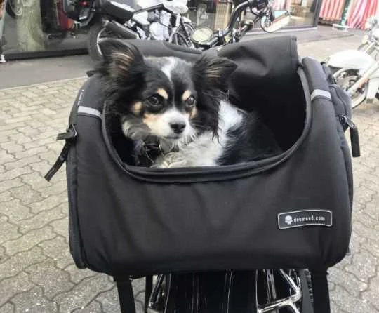 Deemeed Pet Bag Extra Klein 4 Deemeed Pet Bag Extra Klein – Bild 2